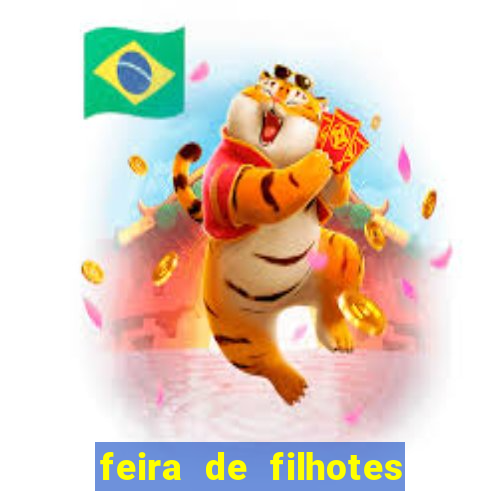 feira de filhotes porto alegre